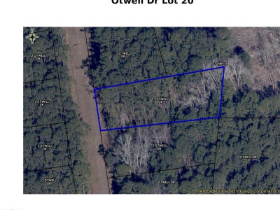 Otwell Dr Lot 20 Johnsonville, SC 29555
