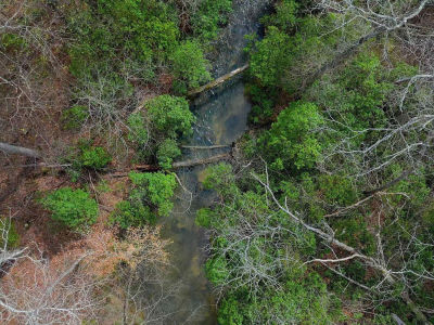 447 Oak Tree Dr Chelsea, AL 35043