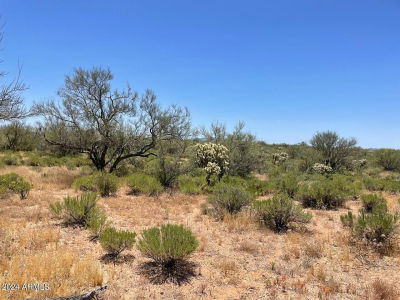 0 N Gold Strike Rd #93 Florence, AZ 85132