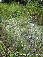 Lakeside Dr Sapulpa, OK 74066