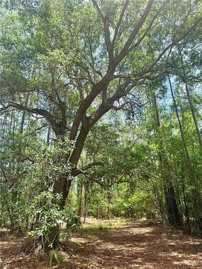 0 Timber Landing Rd Brunswick, GA 31523