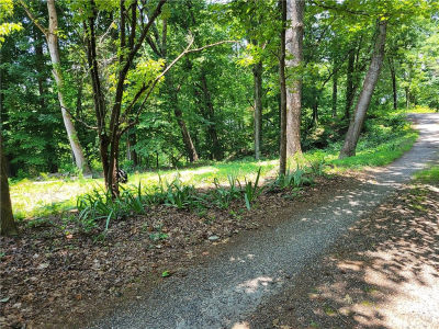 0 Fox Fire Rd Central, SC 29630