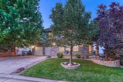 12350 Turquoise Terrace St Castle Pines, CO 80108