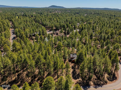 4583 Sky Hi Rd Pinetop, AZ 85935