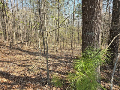 759 Durham Brown Rd Seneca, SC 29678