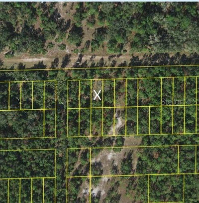 18th St Saint Cloud, FL 34769