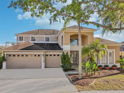 10211 Quails Landing Ave Tampa, FL 33647