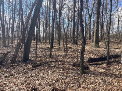 Crystal Springs St Dowagiac, MI 49047