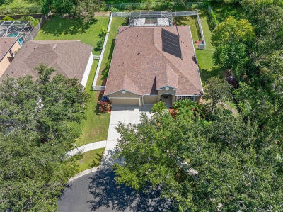 1209 Emerald Hill Way Valrico, FL 33594