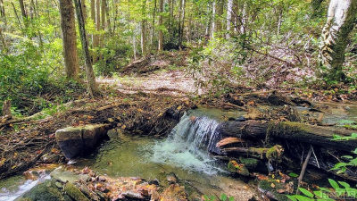 117 Speckled Feather Pass Sapphire, NC 28774