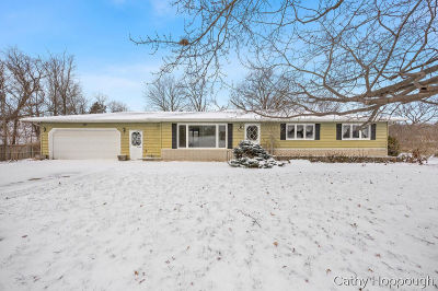 250 Meadowlane Dr Portland, MI 48875