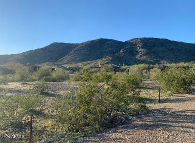 16728 S 31st Ln LOT 40 Phoenix, AZ 85045