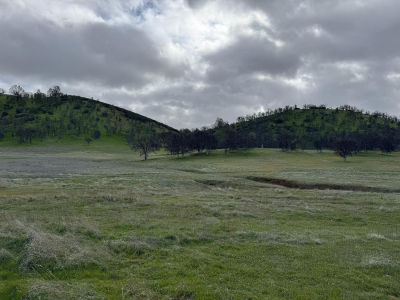 4289 Sites Lodoga Rd Stonyford, CA 95979