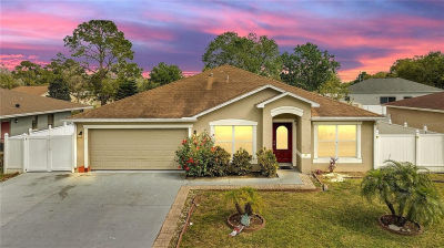 639 Mesilla Dr Kissimmee, FL 34758