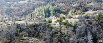 6040 Big John Rd Willits, CA 95490