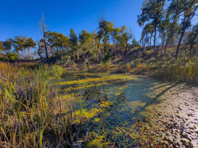 9501 Big John Rd Willits, CA 95490