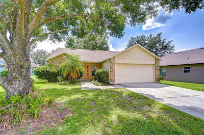 107 Citrus Landing Dr Plant City, FL 33563