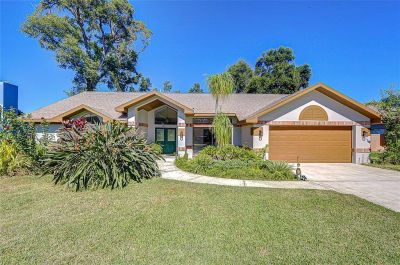 3816 Buckingham Loop Dr Valrico, FL 33594