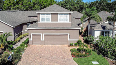 5130 Fairway One Dr Valrico, FL 33596