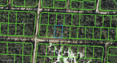 3227 Michele Ave #41 Lake Placid, FL 33852