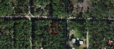 0 NE 66th Ct #3-4 Citra, FL 32113