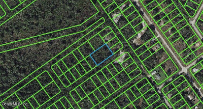 1234 Haviland St #3-4-5 Lake Placid, FL 33852