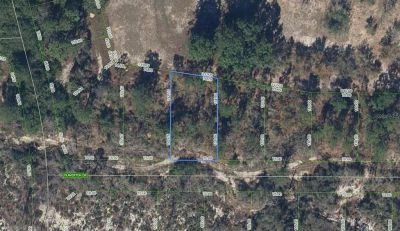 136 Claverton Dr LOT 95 Lake Placid, FL 33852