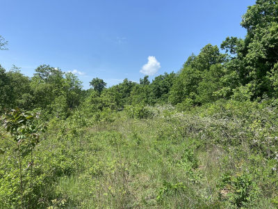 0 Possum Trott Rd Shelbyville, TN 37160