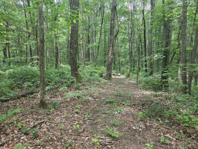 0 Blumont Dr Altamont, TN 37301