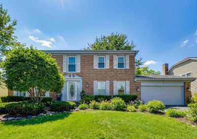 829 Heatherstone Dr Schaumburg, IL 60173