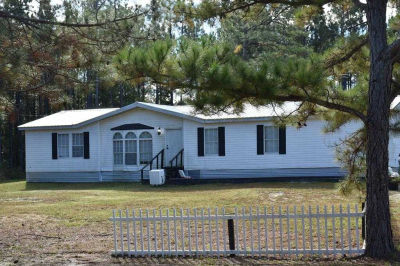 536 Mill Pond Rd SE, Ludowici, GA, USA