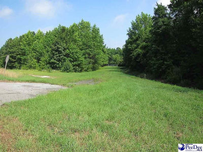 S Governor Williams Hwy Darlington, SC 29532