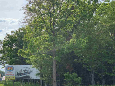 W Houghton Lake Dr Houghton Lake, MI 48629