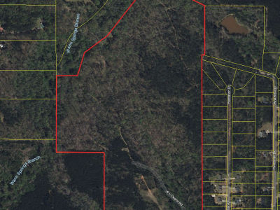 0 Whitehouse Pkwy Warm Springs, GA 31830