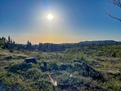 2157 Backwoods Trl Grizzly Flats, CA 95636