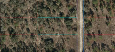 LOT 6 SE 134th Ct LOT 6 Dunnellon, FL 34431