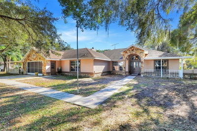 17200 Peru Rd Umatilla, FL 32784