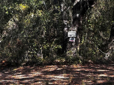 28093 SE Highway 42 Umatilla, FL 32784