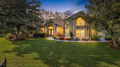 10446 Jardim De Largo St Clermont, FL 34711