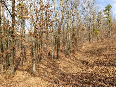 Trapp Rd North Little Rock, AR 72118