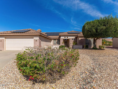 19891 N Tapestry Ct Surprise, AZ 85374