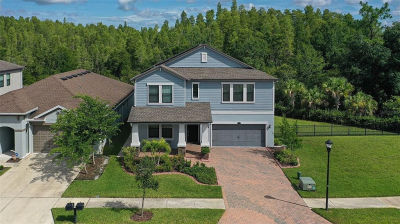 16312 Hyde Manor Dr Tampa, FL 33647