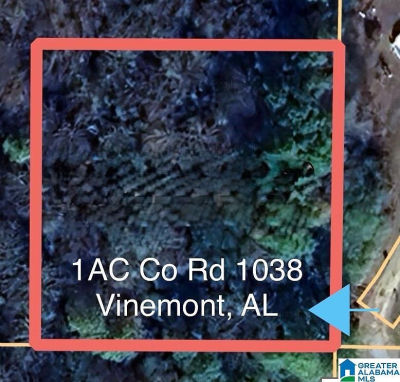 1AC County Road 1038 #0 Vinemont, AL 35179