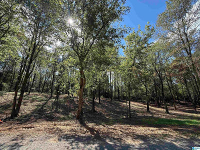 12B County Road 1123 #12B Vinemont, AL 35179