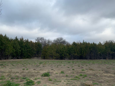 862 Park Place Boulevard, Rockwall, TX, USA