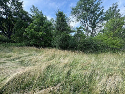 287 Lower Stella Ireland Rd Binghamton, NY 13905