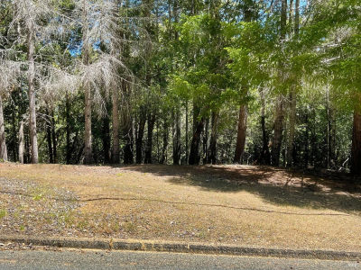 24121 Lilac Rd Willits, CA 95490