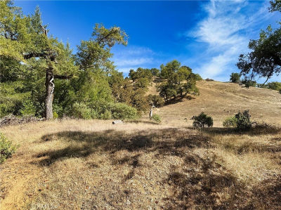 18225 Scenic Dr LOT 18 Redwood Valley, CA 95470