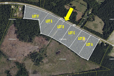 0D Bells Hwy Walterboro, SC 29488