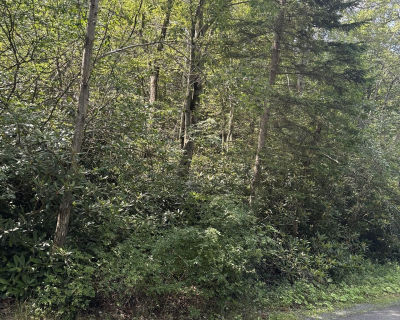 Long View Ln #36 Pocono Pines, PA 18350